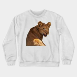 WINK Crewneck Sweatshirt